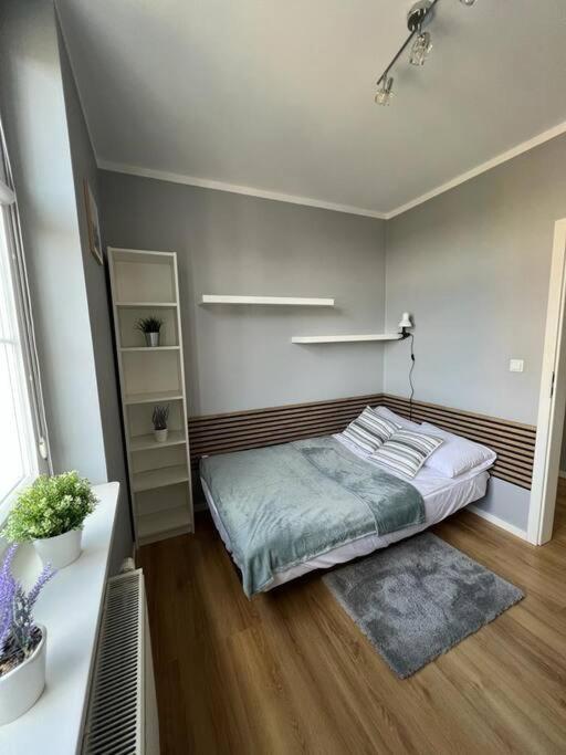 Walenty Krakow Daire Dış mekan fotoğraf